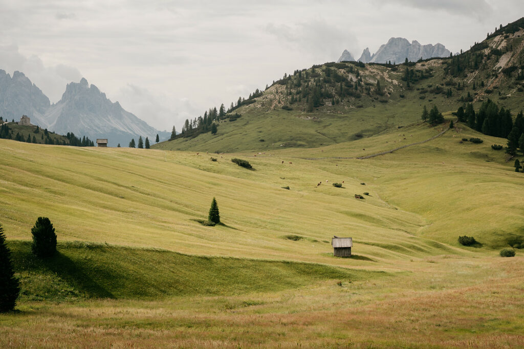 Mountain meadow with cabin and distant peaks.
