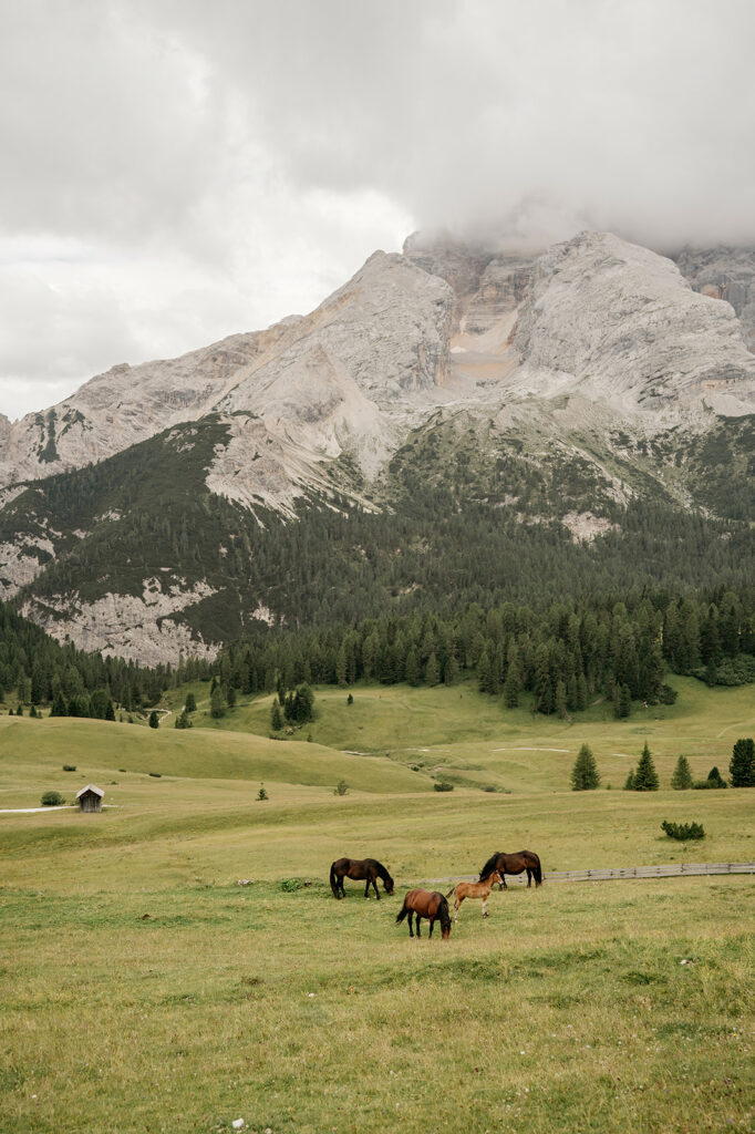 Horses grazing in mountain meadow under cloudy sky.