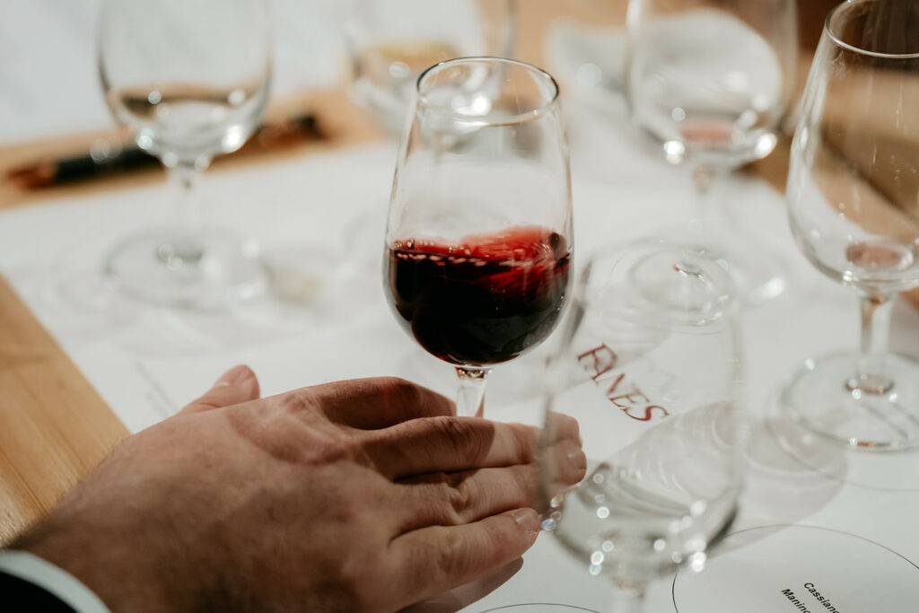 Hand holding glass of red wine at tasting.
