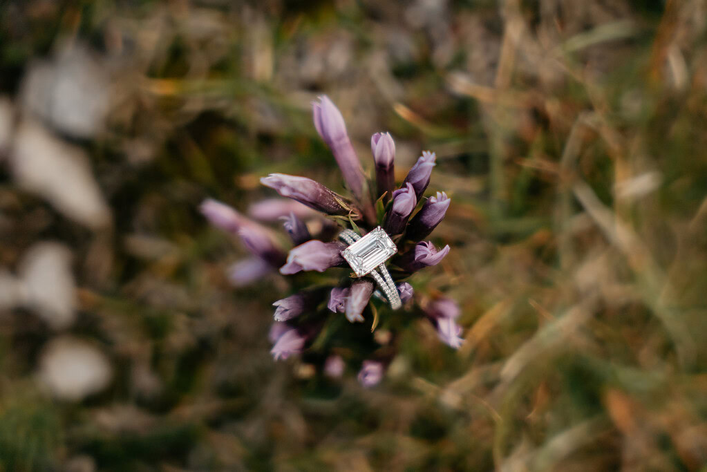 Engagement ring on purple wildflowers in grass.