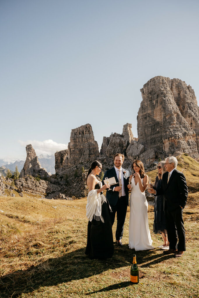 Wedding group celebrating in mountain landscape