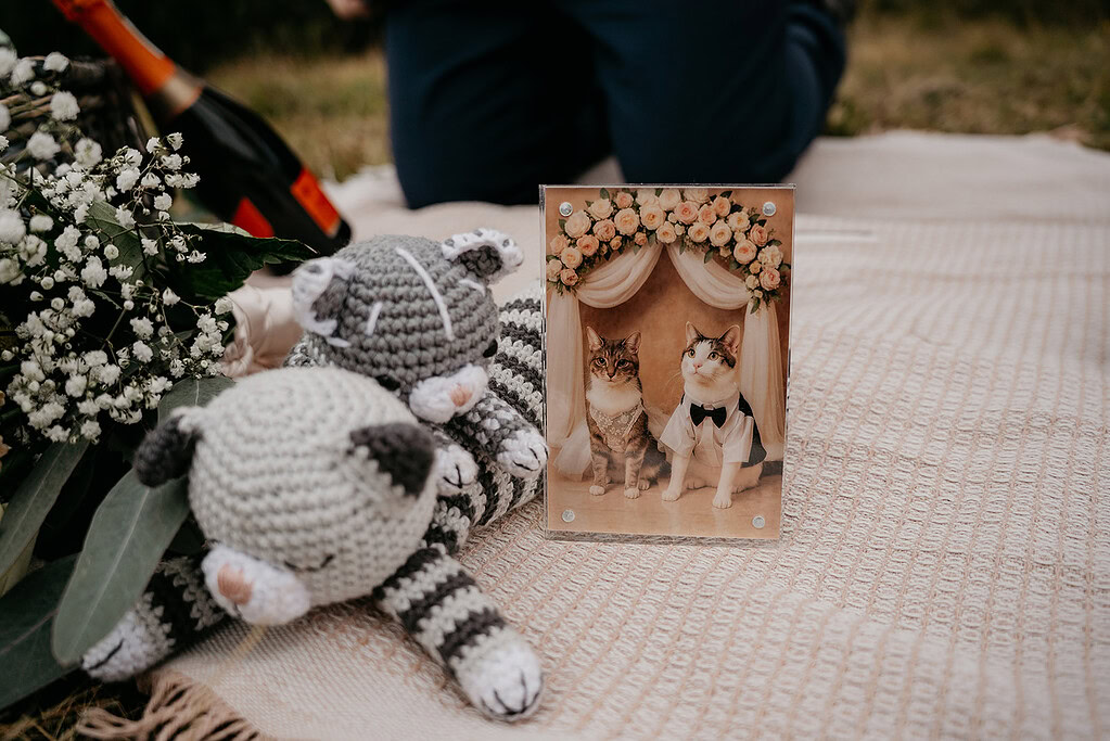 Crochet cats, wedding photo, flowers, champagne on blanket.
